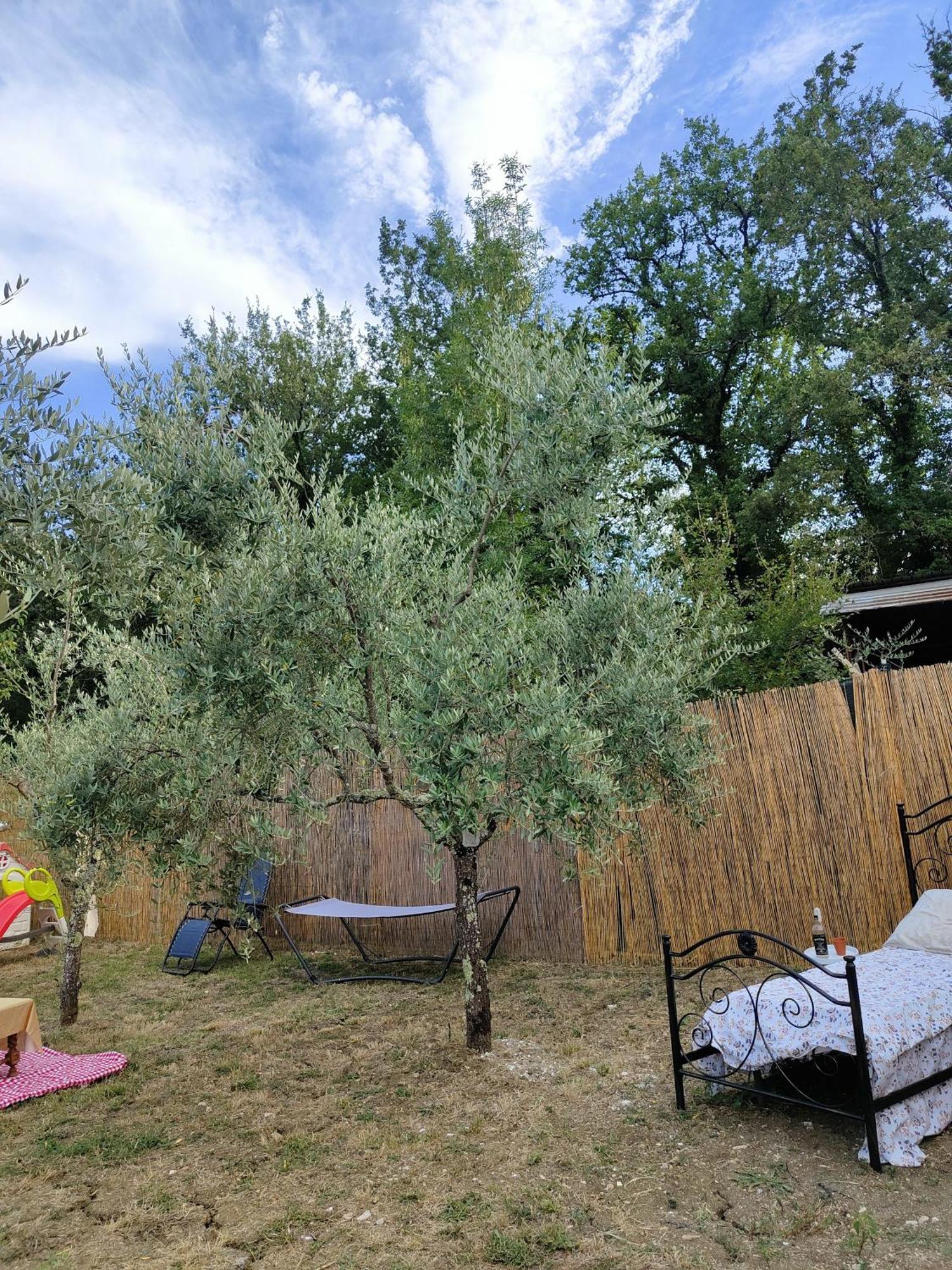 לינה וארוחת בוקר Arce Casale Dei Ricordi מראה חיצוני תמונה